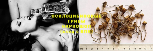 a pvp Беломорск