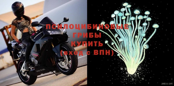 spice Белокуриха
