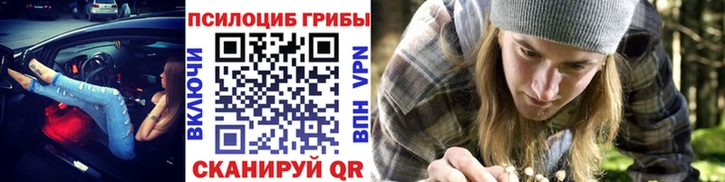 Псилоцибиновые грибы мухоморы  MEGA вход  Приволжский  купить наркотики цена 